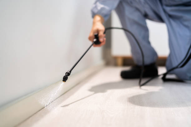 Licensed Pest Control service in Bethel, NC - Show Me Pest Control
